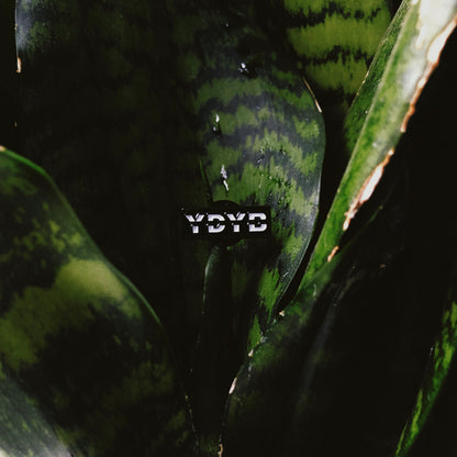 YDYB Logo Pin